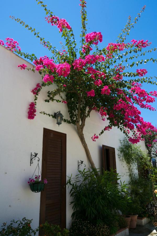 Villa Pampalone - B&B In Dimora Storica 特拉帕尼 外观 照片
